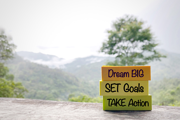 mountaintop landscape with overlay blocks "Dream Big, Set Goals, Take Action"
